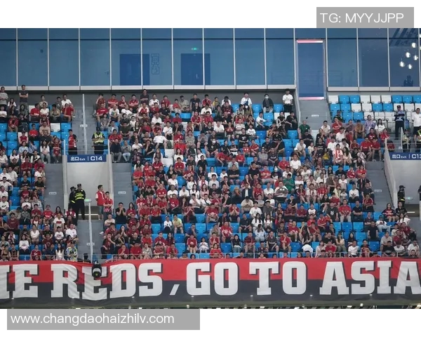 成都足球队的拼搏历程与欧锦赛梦想的追逐之路