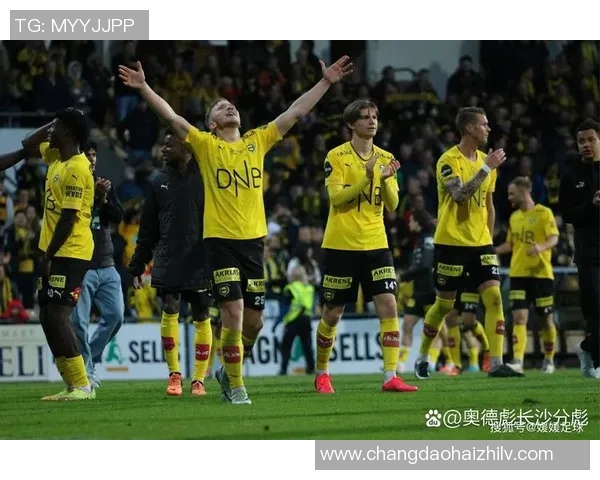 挪威足球明星现状分析及未来潜力球员推荐