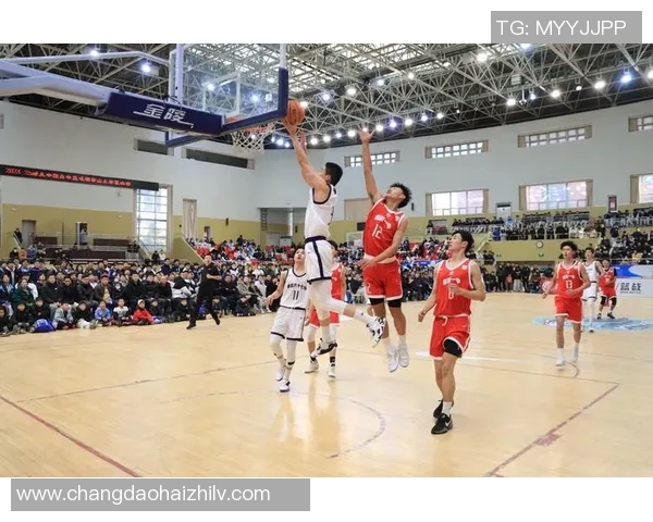 成都篮球队在城市联赛中以100分高居积分榜首位展现强劲实力