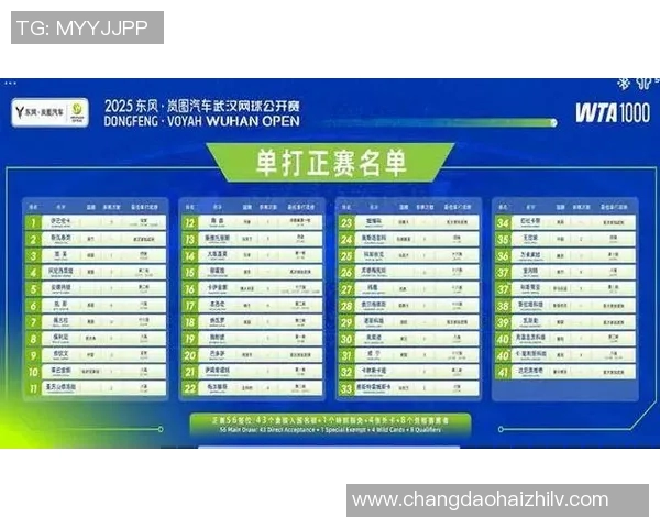 武汉网球队在精英赛中的个人能力全面分析与表现点评