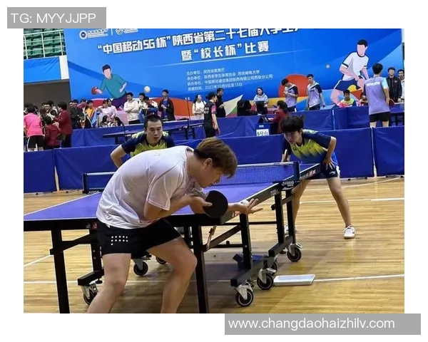 西安乒乓球队逆袭欧锦赛的辉煌历程与奋斗精神 西安乒乓球队逆袭欧锦赛的辉煌历程与奋斗精神