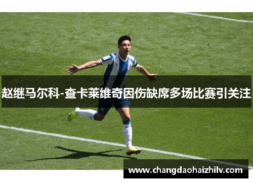 赵继马尔科-查卡莱维奇因伤缺席多场比赛引关注