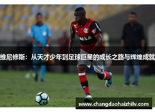 维尼修斯：从天才少年到足球巨星的成长之路与辉煌成就