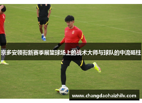 京多安领衔新赛季展望球场上的战术大师与球队的中流砥柱